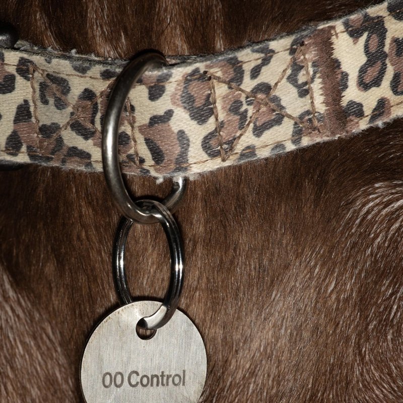 00 Control cover: a metal tag engraved with 00 Control hanging from a leopard-print collar